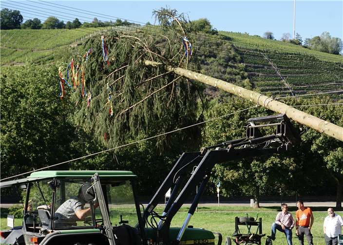 Was lange währt, wird endlich gut: Vorsichtig bekam der Kirmesbaum seinen rechten Platz.Fotos: EP
