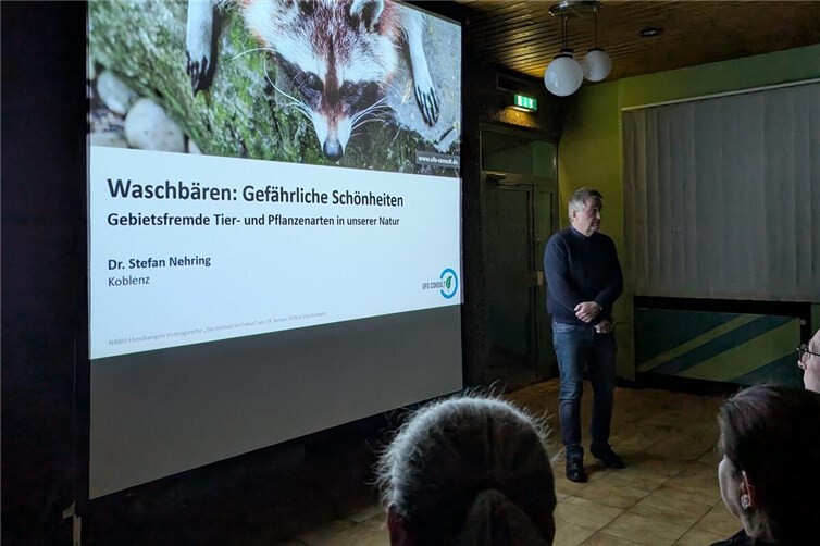 Waschbären sehen niedlich aus, richten aber große Schäden an. Dr. Stefan Nehring führte die Zuhörer fachlich in die Problematik der gebietsfremden Pflanzen und Tiere ein. Fotos:Marcel Weidenfeller und Peter Ahrens