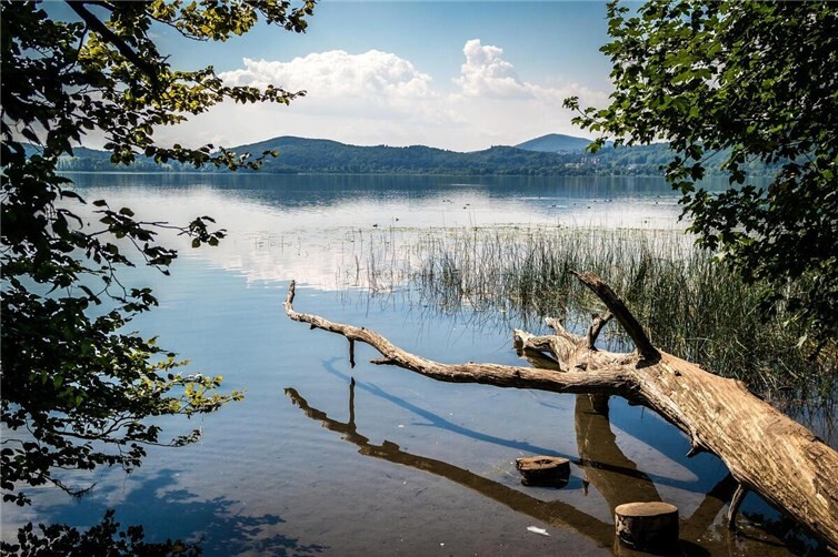 Wasser aus dem Laacher See wird derzeit für die Löscharbeiten der Waldbränge bei Langenscheid genutzt.