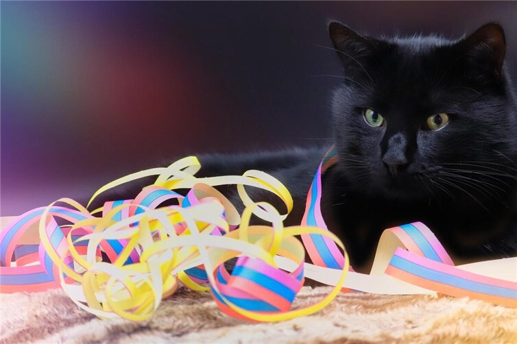 Wasser, frische Luft und Elektrolyte können helfen, dem Kater entgegenzuwirken. Foto:pixabay.com