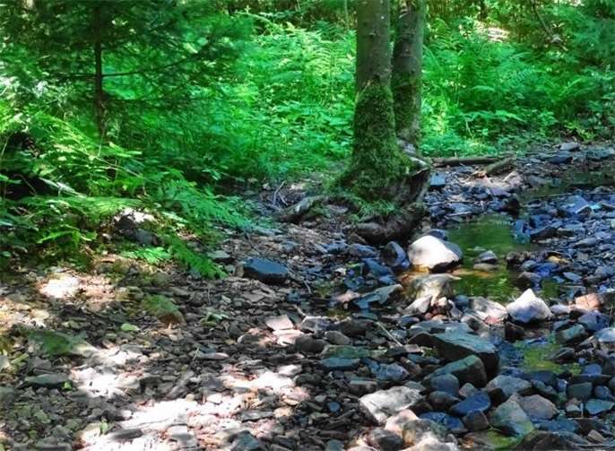 Wasser ist ein überlebenswichtiges Gut. Man muss schon ganz genau hinschauen, um noch einen Rest Wasser zu entdecken.Foto: Bürgerinitiative 7-Wege-Gegenwind
