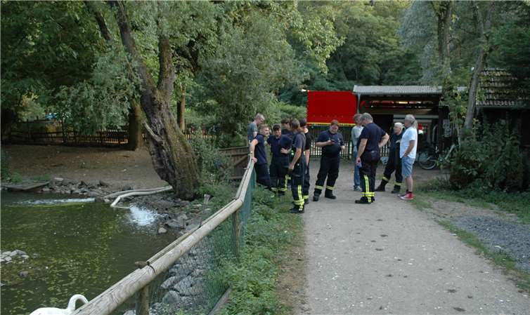 Wasser marsch: Mit kühlem Wasser aus der Ahr wurde der kleine Schwanenteich rasch aufgefüllt. Fotos: BL
