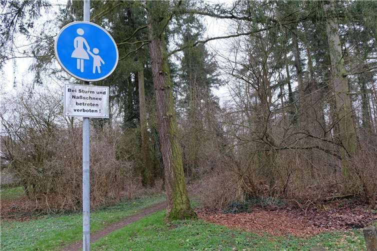 Wegen drohender Umsturzgefahr ist ein Teil des Stadtwaldes auf dem Heddesdorfer Berg zeitweise gesperrt. Foto: Nadine Schöneberg