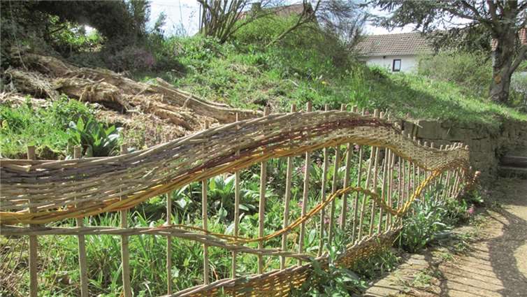 Weidenzaun im Schaugarten. B. Kümpel