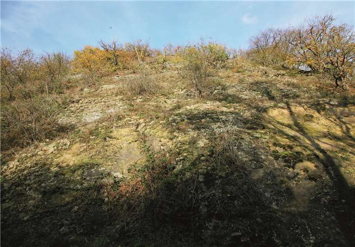 Weiersberg: Steilhang vom Plateau zum Dedenbachtal.