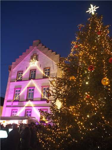 Weihnachtsbäume für den Weihnachtsmarkt werden gesucht.  Foto: Stadt Bendorf