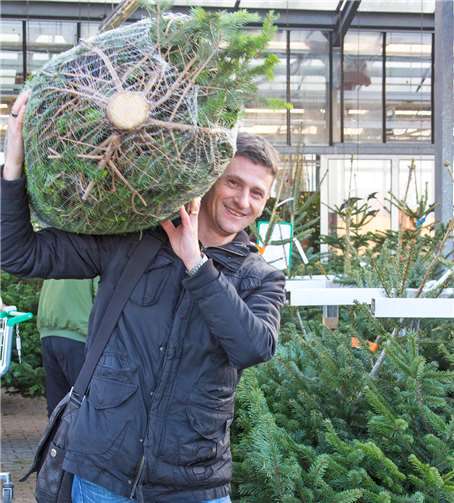 Weihnachtsbäume gibt es bei Blumen Risse.Quelle: Blumen Risse