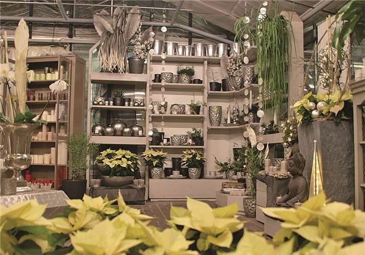 Weihnachtssterne und farblich abgestimmte Accessoires gab es bei Blumen Brühl in großer Auswahl zu bestaunen. US