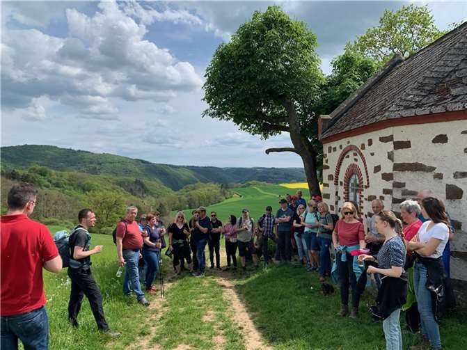 Wein, Wandern und Fußballjubel: Wein-, Wald- und Wiesenwanderung in Löf wird zum Erlebnis. Foto: Anna Lena Glockner