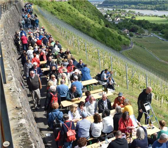 Tolles Weinerlebnis mit über 2000 Gästen Wein trinken dort wo erwächst macht bei Sonne noch mehr Spaß.