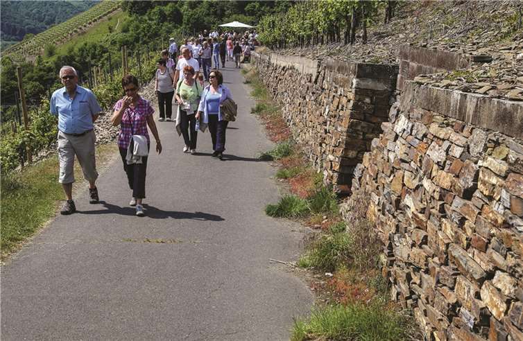 Wein- und Wanderfreunde erfreuten sich dort, wo die Winzer das ganze Jahr über arbeiten.