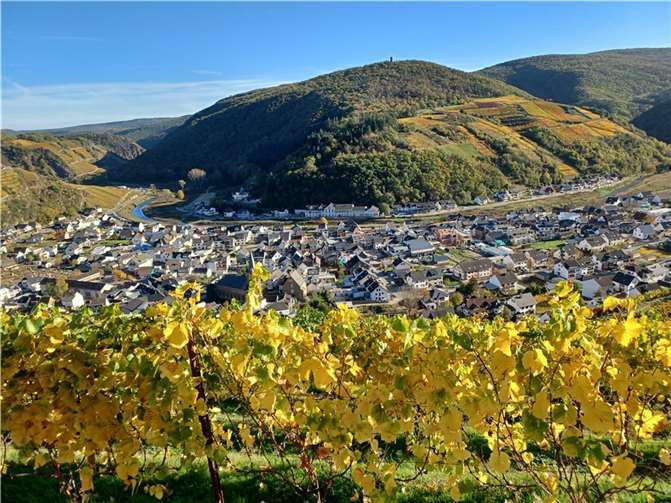 Weinberge oberhalb von Dernau.  Foto: privat