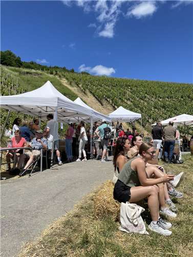 Weingenuss inmitten der Weinberge. Foto: Katharina Schick