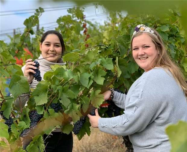 Weinprinzessin Janina Rosello-Tormo, (l.) und Weinkönigin Lena Knieps (r.). Foto: privat