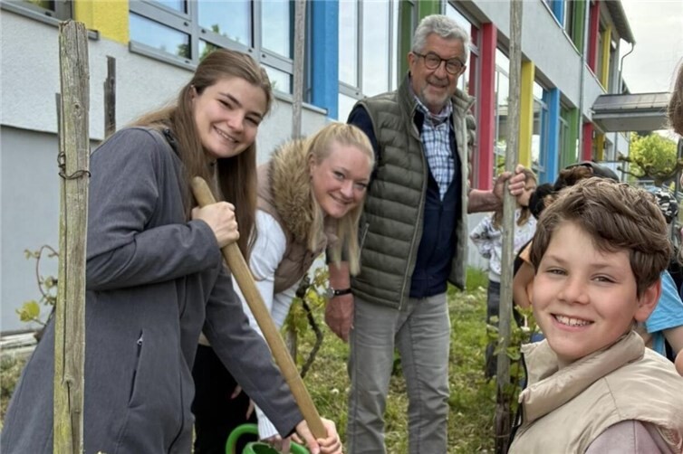 Weinrebenpflanzen in Erpel 2026