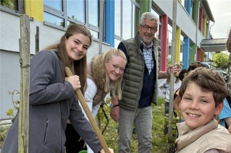 Weinrebenpflanzen in Erpel 2026