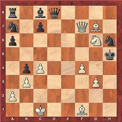 Weiß am Zug gewinnt. privat