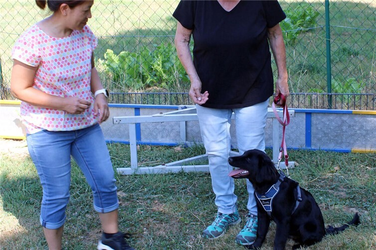 Hundesportfreunde Sinzig erweitern Ausbildungsteam mit neuen Ausbilderinnen