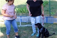 Hundesportfreunde Sinzig erweitern Ausbildungsteam mit neuen Ausbilderinnen