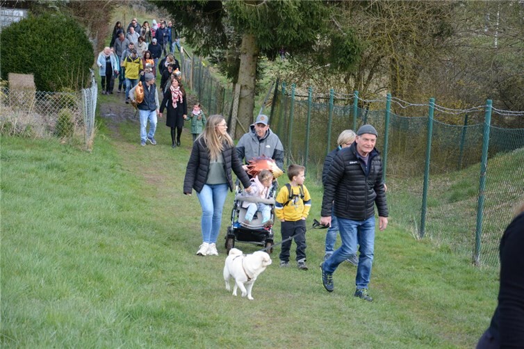 Kinderrundweg Tiere des Waldes in Volkesfeld – interaktives Naturerlebnis für Familien