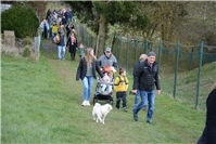 Kinderrundweg Tiere des Waldes in Volkesfeld – interaktives Naturerlebnis für Familien