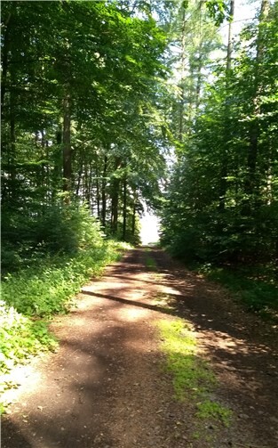 Wer Hilfe benötigt oder auch anbieten möchte, der meldet sich bitte bei den Kontaktpersonen. Foto: privat