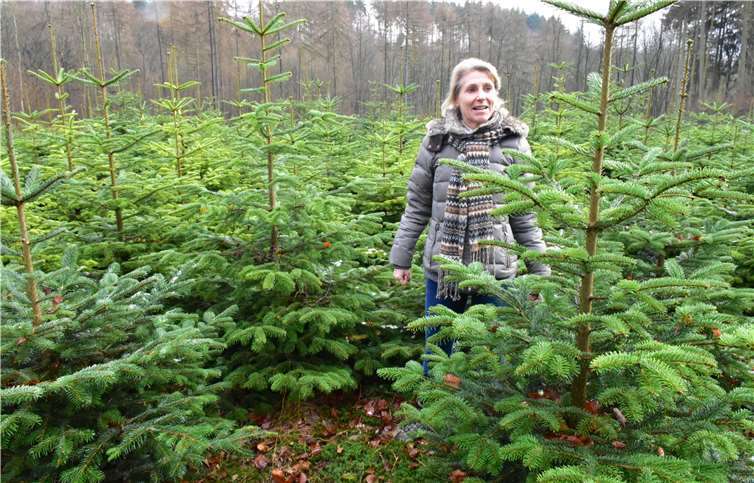 Wer die Wahl hat, hat die Qual. Doch Maja Grundmann Wächeraus Ehlscheid hatte eine schöne Nordmanntanne gefunden.