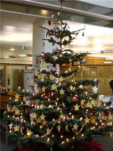 Wer ein Kind beschenken möchte, nimmt sich einen individuellen Wunsch vom Baum. Foto: privat