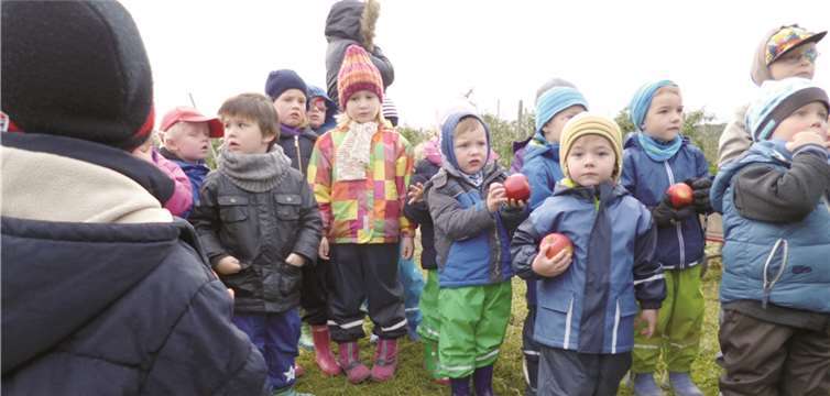Wer hat den schönsten Apfel gepflückt? Stolz präsentieren die Kinder der Jakobus Kita Ersdorf ihre Ernte. privat