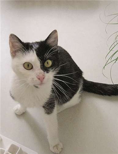 Wer kann diesem Blick widerstehen?  privat