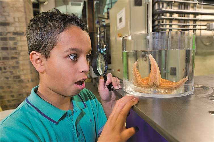 Wer möchte mal einen Blick hinter die Kulissen werfen, Becken putzen und Wassertest mit durchführen? Interesse? Dann schnell bei diesem Gewinnspiel mitmachen und mit ein bisschen Glück bist Du dabei! Garry Samuels