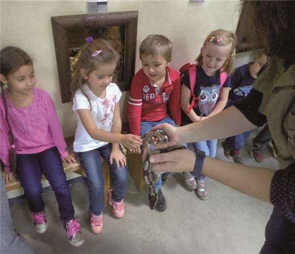 Wer mutig war, durfte auch eine Schlange streicheln. privat