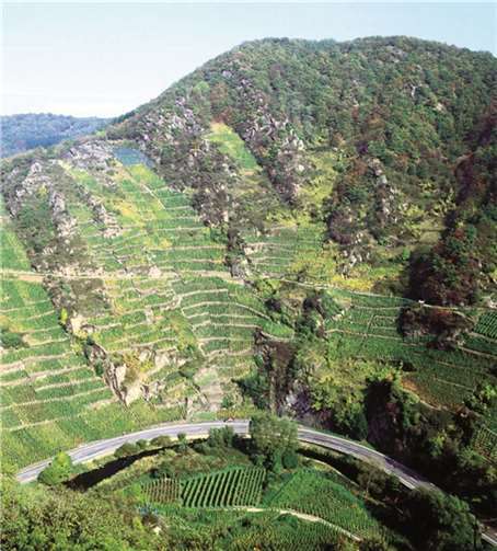 Wer setzt den Kreis Ahrweiler fotografisch in Szene? Ein mögliches Motiv: das Ahrtal.privat