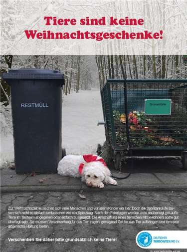 Tiere gehören nicht unter den Weihnachtsbaum Werden Tiere zu Weihnachten unüberlegt verschenkt, landen sie später häufig im Tierheim oder werden im schlimmsten Fall sogar ausgesetzt. Copyright: Deutscher Tierschutzbund e.V.