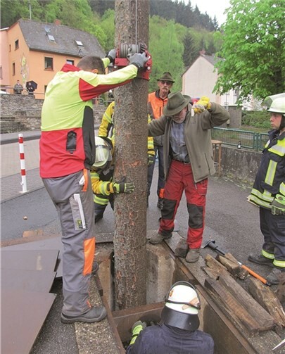 Werner Dietz (rechts neben dem Stamm) holt sein 50 Jahren den Kirmesbaum.