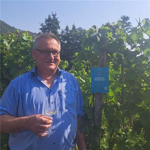 Erste Weinstock-Patenschaft am Kloster Ebernach Werner Schaub.