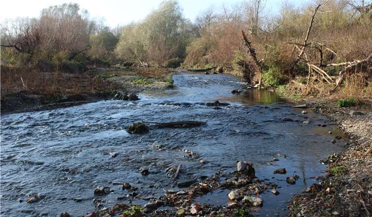 Wertvolle Kiesflächen findet man im Unterlauf. Foto: wite