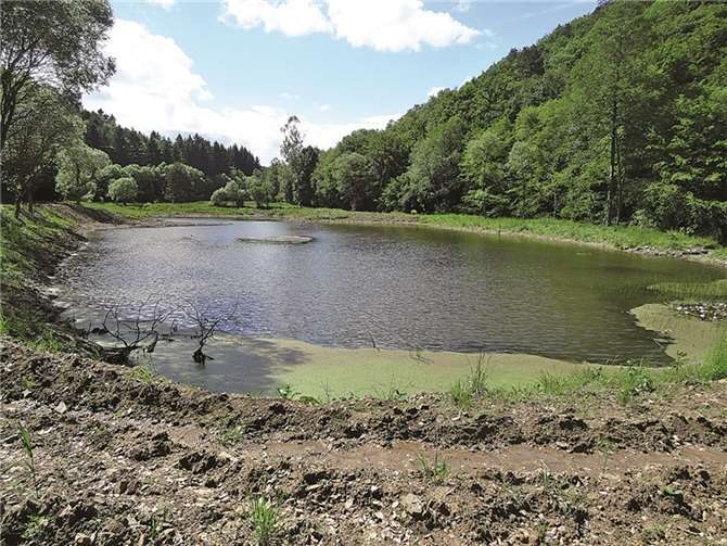 Wertvoller Lebensraum für Amphibien, Wasserinsekten und Schwarzstörche: Diese Teichanlage im Armuthsbachtal bei Wershofen, hier nach der Renaturierung, ist eine Maßnahme des Projekts Obere Ahr-Hocheifel. Privat