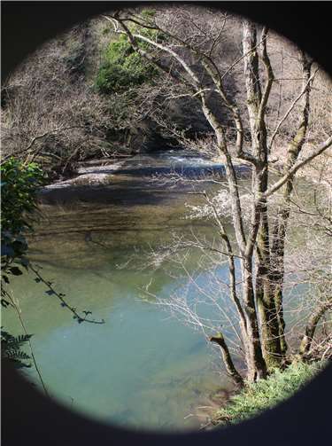 Wichtig sind auch die wechselnden tiefen und flachen Wasserbereiche.