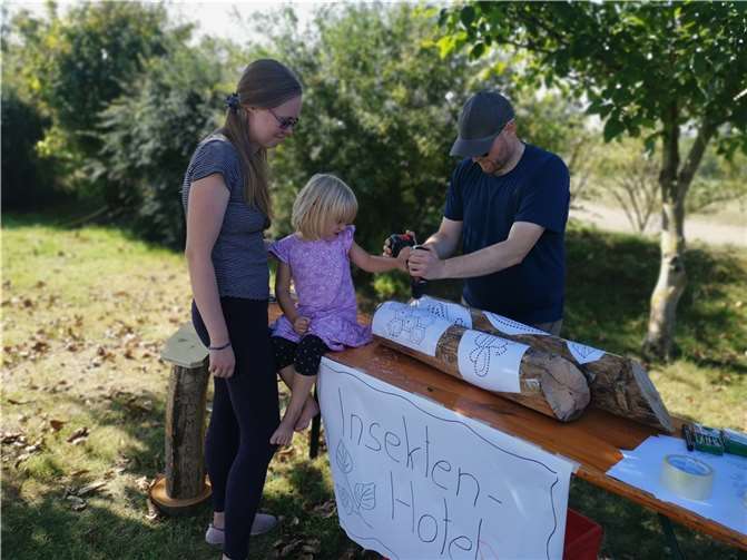 Wie aus einem Stamm einer abgestorbenen Buche ein Insektenhotel entstehen kann, zeigte die Gruppe „Kreislaufwirtschaft“ mit Hilfe der Kinder und Jugendlichen.  Foto: Anna Köhler