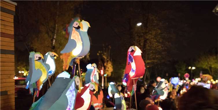 Wie ein Lichtermeer hatten sich die Kinder mit ihren Laternen auf dem Schulhof versammelt.