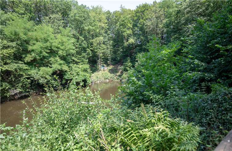 Wie eine Oase fügt sich der Naturbadesee ins das Grün der Landschaft.