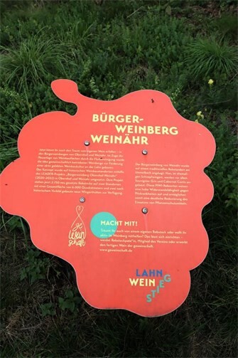 Wie hier zum Bürgerweinberg gibt es unterwegs viele nützliche Infotafeln