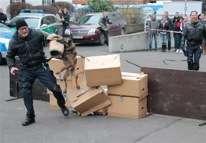 Wie immer spektakulär - der Auftritt der Hundestaffel. Werner Enders