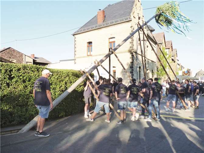 Wie immer wurde der Kirmesbaum nach alter Väter Sitte mithilfe von sogenannten Schwalben aufgestellt.  Fotos: FRE