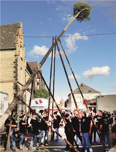 Wie immer wurde der Kirmesbaum nach alter Väter Sitte mit Hilfe von so genannten Schwalben aufgestellt.
