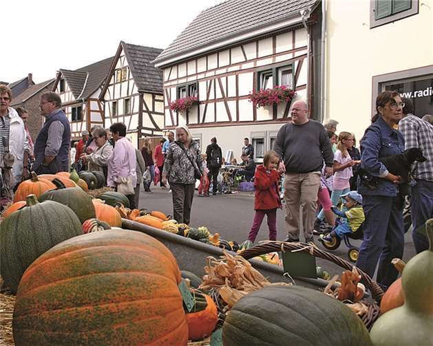 Wie in jedem Jahr so auch diesmal gab es große und kleine Kürbisse.