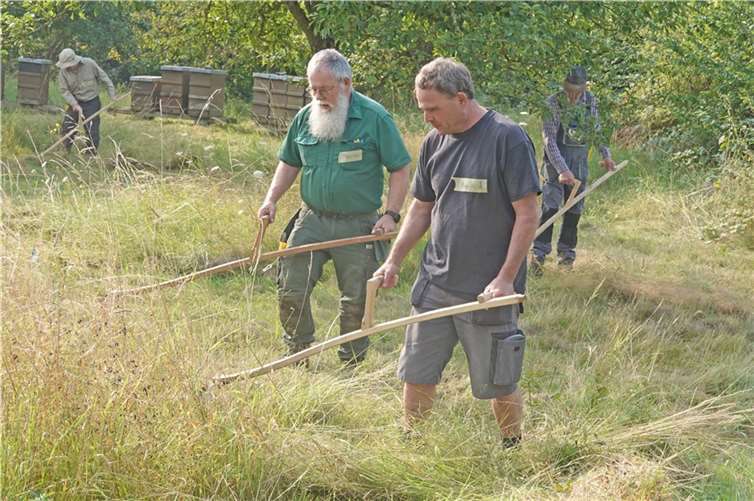 Wie man eine Wiese umweltfreundlich, artenschonend und fast CO2 frei mit einer Sense mäht erfuhren die Teilnehmenden des Sensenkurses in Monreal. Foto: Kreisverwaltung MYK/Dr. Rüdiger Kape