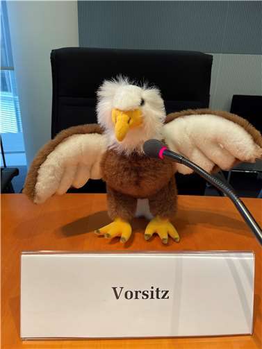 Wie soll das Maskottchen heißen? Foto: DBT / Sekretariat der Kinderkommission