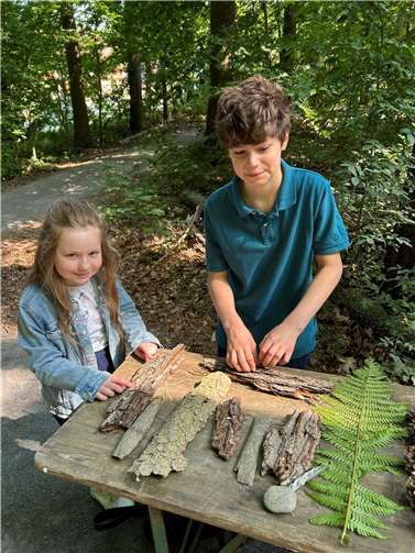 Wie unterschiedlich sich die Teile eines Baumes anfühlen, kann man an der Taststation erkunden.